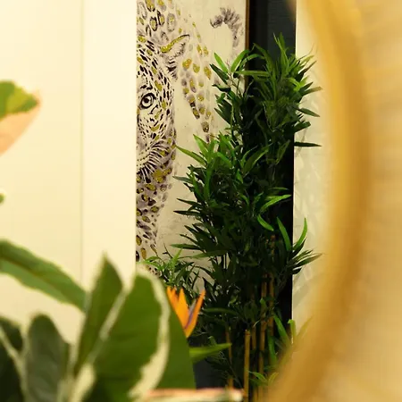Safira 301 فونشال