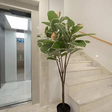 Safira 301 Appartement