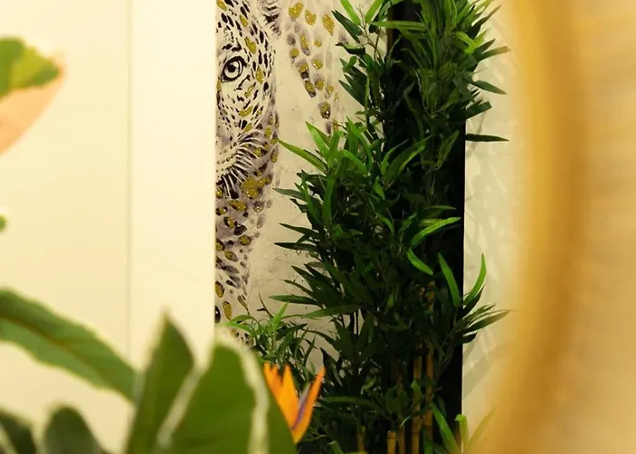 Safira 301 丰沙尔