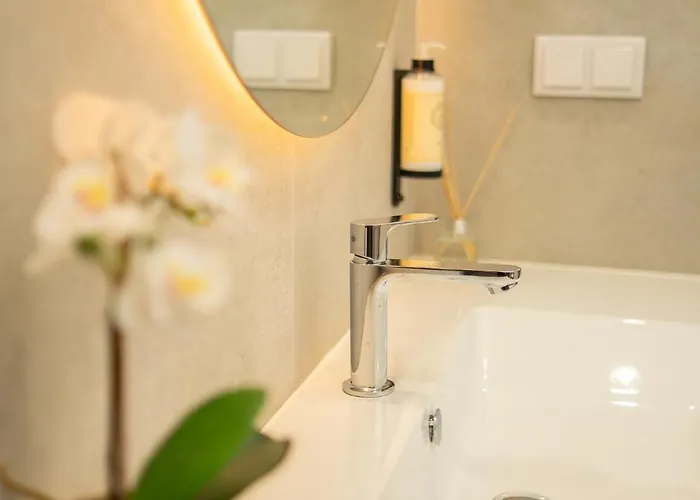 公寓 Safira 301 丰沙尔